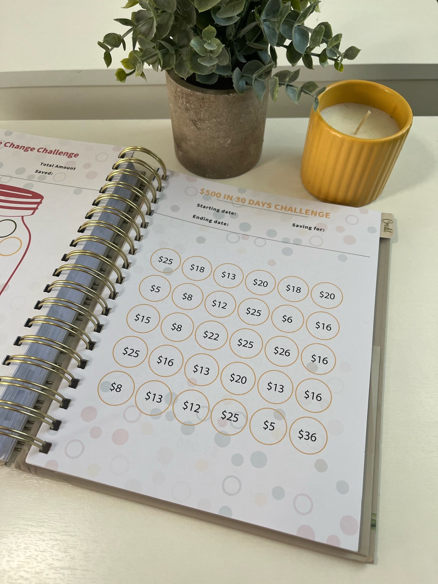 Budget Planner - Clearance Sale